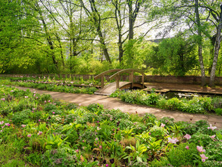 Wooden Japanese bridge, plants and flowers in the park Dowesee, Braunschweig. Natural background in spring.