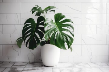 Green Oasis: Serene Stock Photography of Potted Green Monstera Plant on a White Brick Wall, Bringing Natural Beauty to Interior Spaces