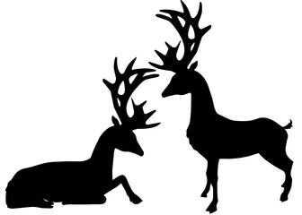 silhouette of two deer