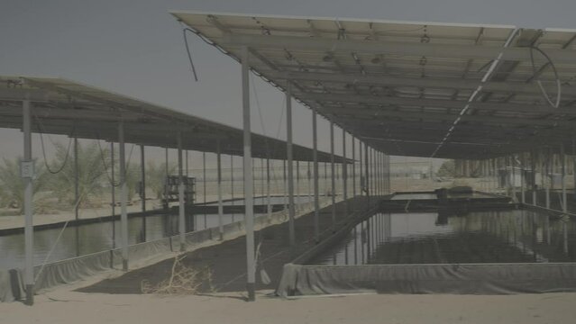 An outdoor fish farm facility in the desert, where water pools are under the sheds. the camera is panning to the right, to reveal more sheds. a 4K F-log video clip. 