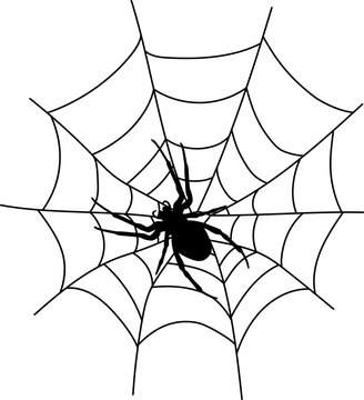 Scary black spider web isolated on white. Spooky halloween decoration. Outline cobweb.