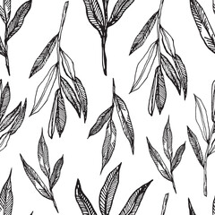 Vector graphics of branches. Highlighted on a white background. Seamless pattern with olive branches graphics. Graphic background with olives. Monochrome branches.