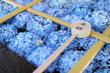 紫陽花の花手水