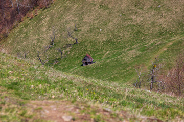Landscape in Romania