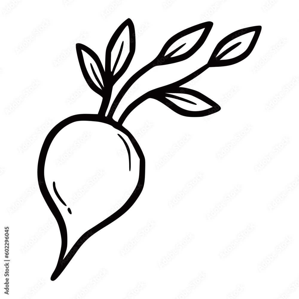 Sticker Hand drawn beet vegetable. Doodle sketch style. Drawing line simple beet icon. Isolated vector illustration.