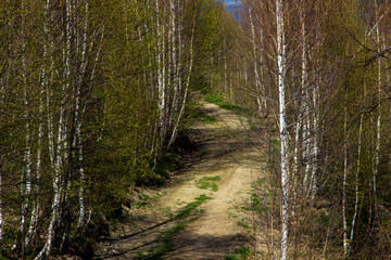 Hiking trail in the mountains of Romania