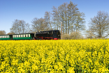 Schmalspurbahn 