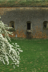 Old fortress in Novi Sad 