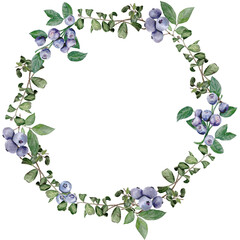 Hand painted watercolor blueberry wreath, round border