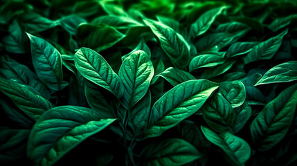 Naklejka na ściany i meble Natural background with green foliage, generative AI.
