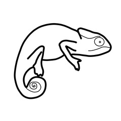 chameleon animal reptile exotic carnivore forest doodle organic line
