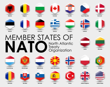 Vector illustration of Hexagon shape flags of the 30 Member states of NATO on gray background