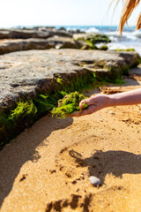 Small girl picking green water algs from rocks near sea during spring sunny day on sandy beach at Paphos, Cyprus