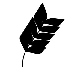 Shadow leaves overlay.plant shadow.