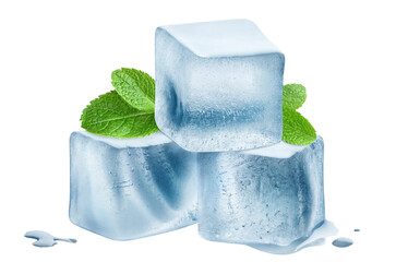 Fresh mint leaves and ice cubes, cut out