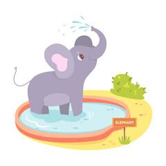 Cute baby elephant bathing in zoo pond, funny animal standing in pool to splash water