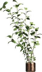 Fototapeta premium Side view of potted houseplant 
