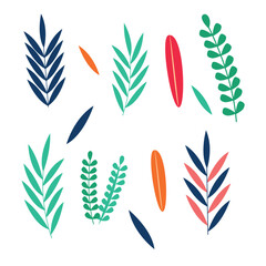 set of leaves vector illustration