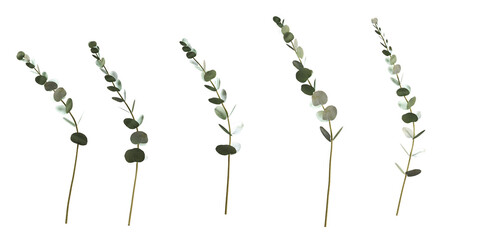 Leef in 3d rendering isolated on white
