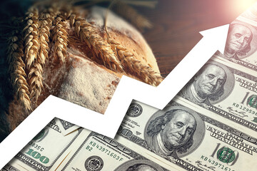 Food price rise. Food crisis concept. Global financial crisis. Food deficiency. Price growth chart....