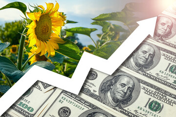 Rising food prices. Food crisis concept. Global financial crisis. Food deficit. Price growth chart for farm products. Lack of agricultural products