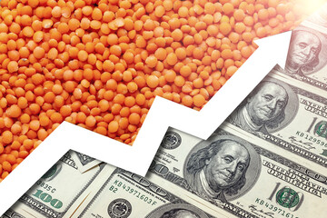 Rising food prices. Food crisis concept. Global financial crisis. Food deficiency. Price growth...