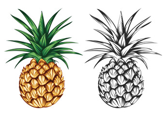 A black and white and a wonderful pineapple vector illustration.