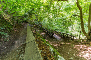 Hiking trail near Macocha abbys, Czech Republic