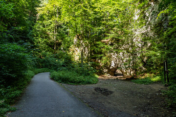 Fototapeta premium Road in Pusty zleb valley, Czech Republic