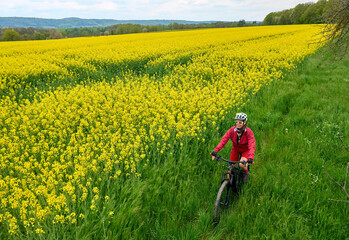 Fototapeta na wymiar nice and remained young senior woman on electric mountain bike between rapeseed fields in the Kraichgau area near Zaberfeld, Baden-Württemberg, Germany
