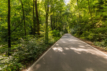 Road in Pusty zleb valley in Moravian Karst region, Czech Republic