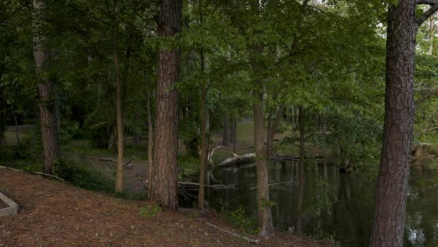 footage of a gorgeous spring landscape at Proctor Landing Park at sunset with rippling water surrounded by lush green trees and plants and a pergola with benches at Lake Acworth in Acworth Georgia USA