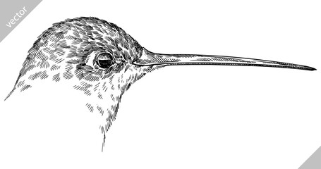 Vintage engraving isolated hummingbird set illustration ink humming sketch. Bird background colibri tropical silhouette art. Black and white hand drawn vector image © Turaev