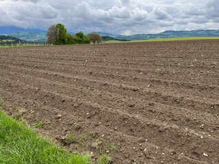 Plowed field with fertile soil