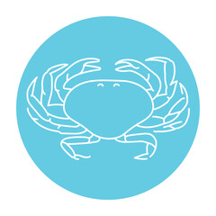 Crab color line illustration. Ocean fishes