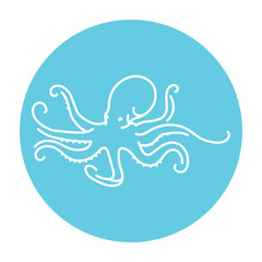 Octopus color line illustration. Ocean fishes