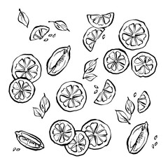 Cute summer pattern sliced lime, citrus hand drawn Vector illustration, wallpaper, wrapping and prints