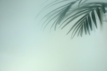Fototapeta na wymiar Shadow of tropical plant leaves on light background, space for text