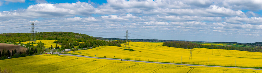 yellow fields of rapeseed against the blue sky with white clouds