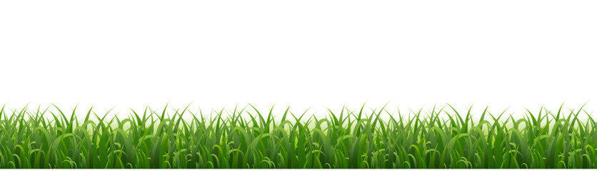green grass background