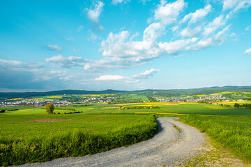 Fototapeta na wymiar Landscape view in Germany during the rapeseed season. Countryside in Germany in a sunny day 