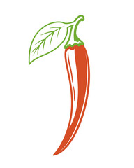 Red chili pepper isolated on white background. Vector illustration