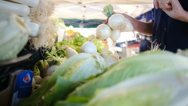 Immerse yourself in a vibrant world of fresh produce with this captivating stock video. Follow a young woman in her mid-30s as she embarks on an exciting market adventure with her two enthusiastic