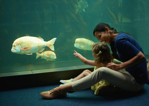 Mother, Aquarium And Girl Pointing At Fish For Learning, Curiosity Or Knowledge, Nature And Bonding Together. Mom, Fishtank And Happy Kid Watching Marine Life Or Animals Swim Underwater In Oceanarium