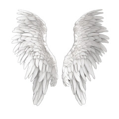 white angel wings in transparent  background, ai generative