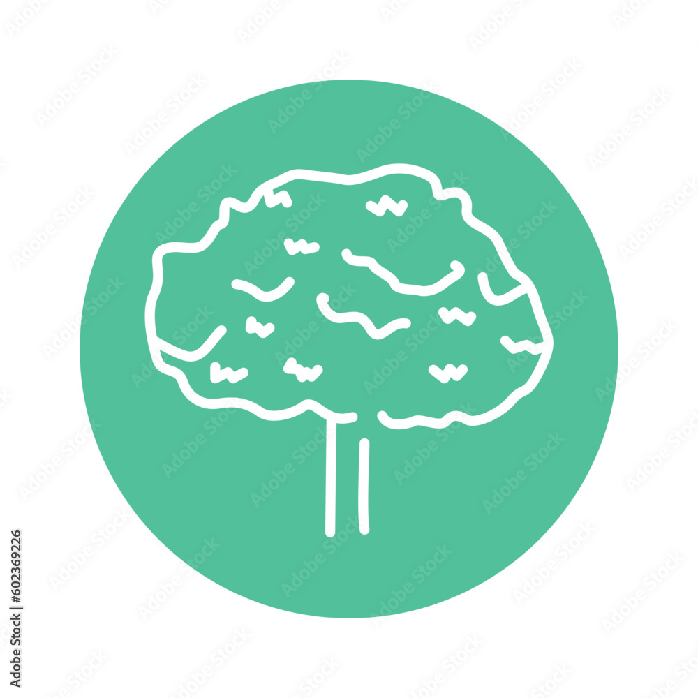 Poster maple tree color line icon. pictogram for web page