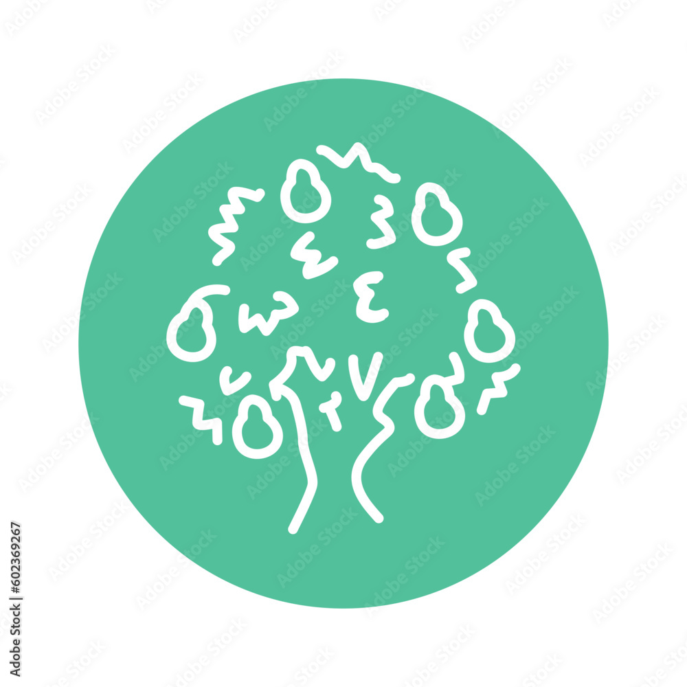 Poster pear tree color line icon. pictogram for web page