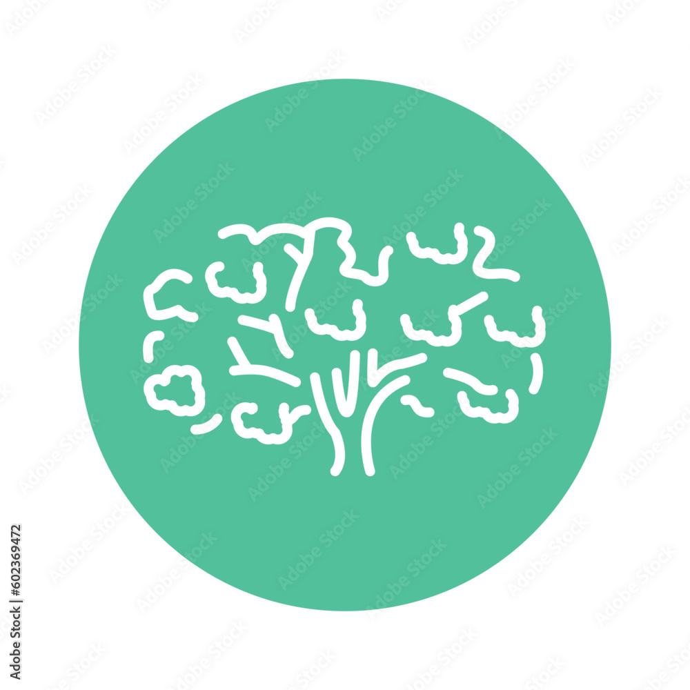 Poster sakura tree color line icon. pictogram for web page