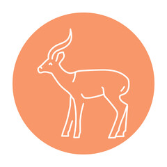 Gazelle color line illustration