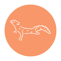 Lizard color line illustration
